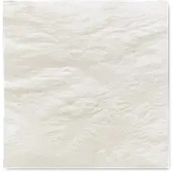 SimpliGraft AMNION LAYER VERSATILE BARRIER PROTECTION