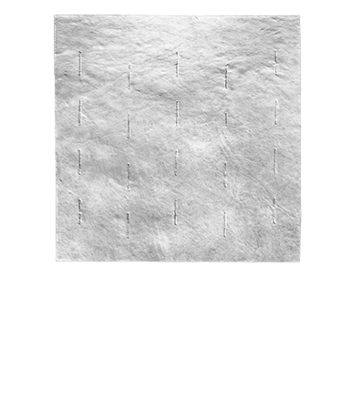 PuraPly AM Cover